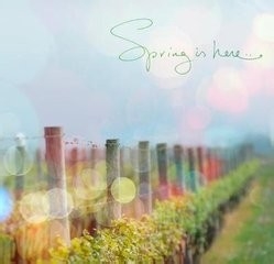 2015转本语文考试复习经验：[3]古代文学