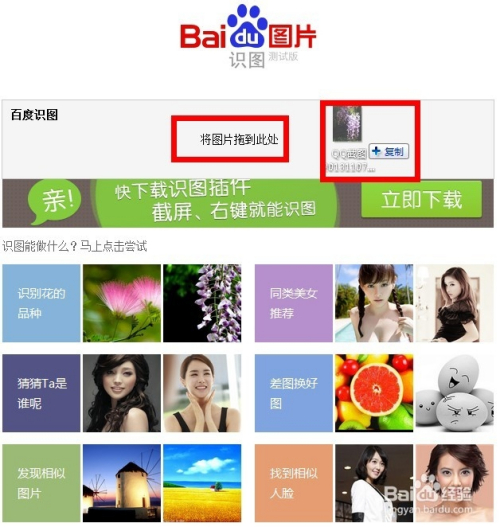 怎么找到相似的图片和图片来源