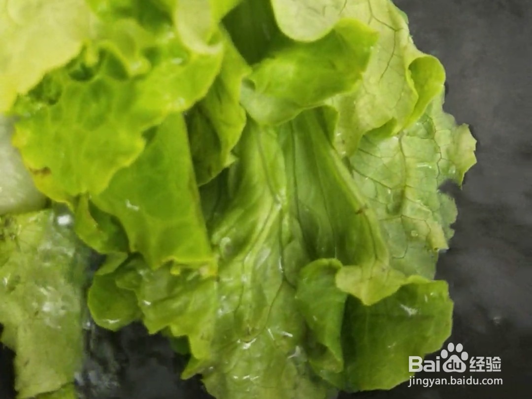 蒜香蚝油生菜