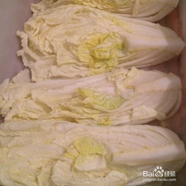 忍不住流口水的泡菜