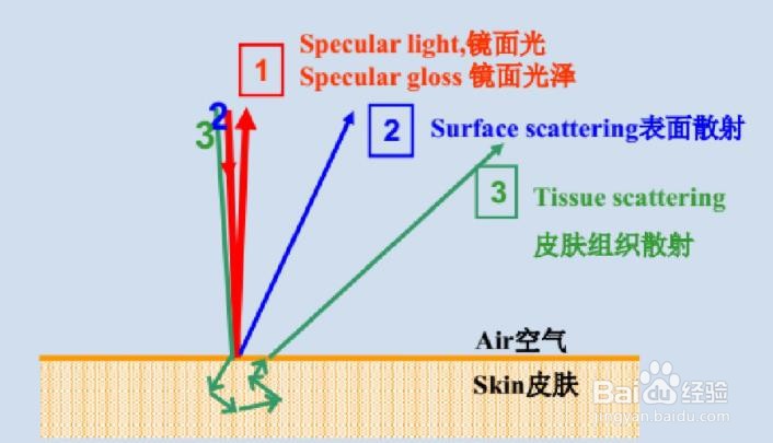 化妆品功效评价方法有哪些？