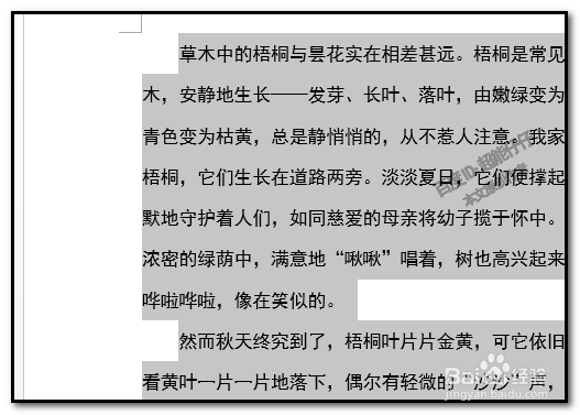 word文档中，如何把每页变成单独一个word文档？