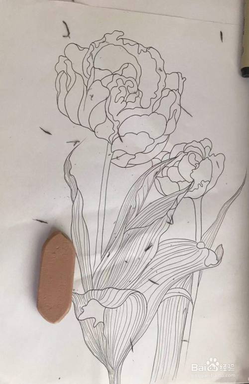 画叶子和抽象花朵的简单线描画