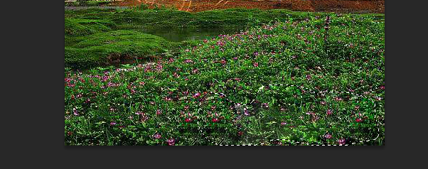 ps怎么去除水印