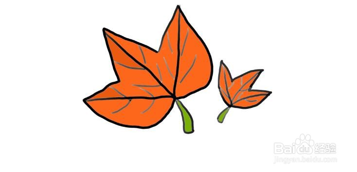 植物简笔画，怎么画枫叶