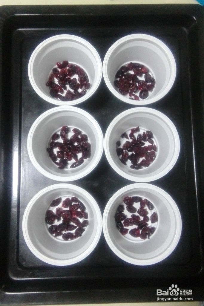 蔓越莓老酸奶的做法