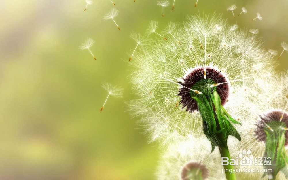 痤疮症状与防治