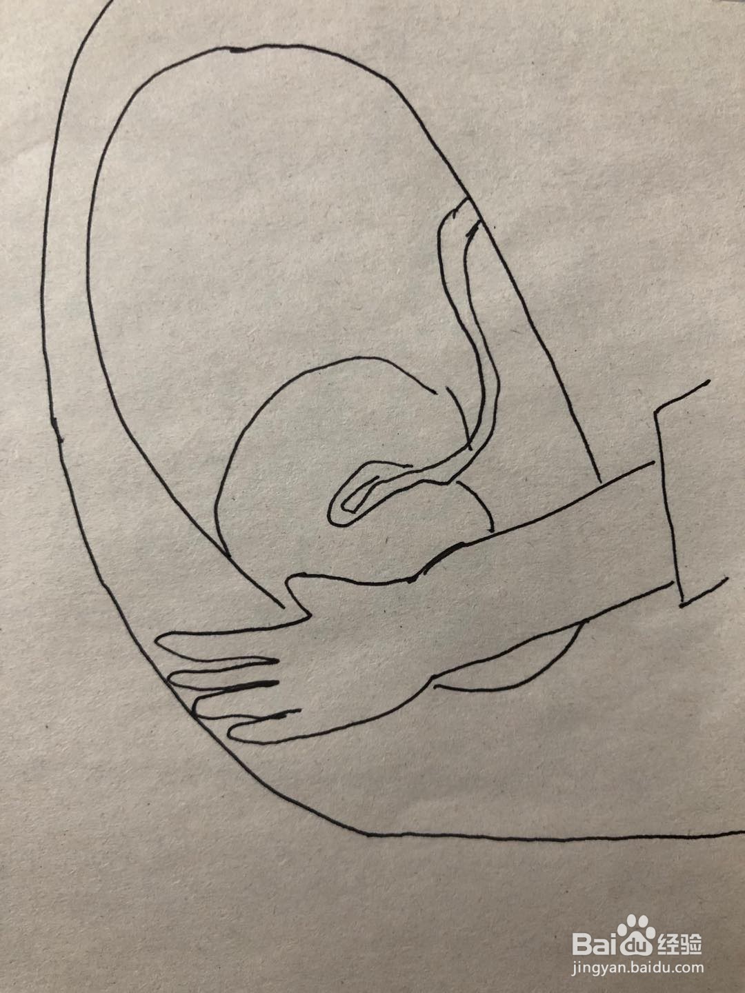 妈妈肚子里的我简笔画