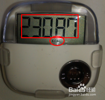 奥又美多功能计步器使用方法