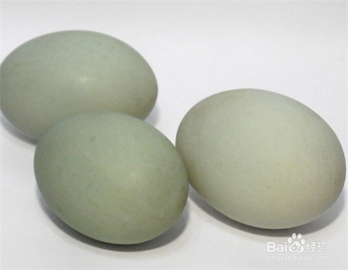 寒性食物一览表