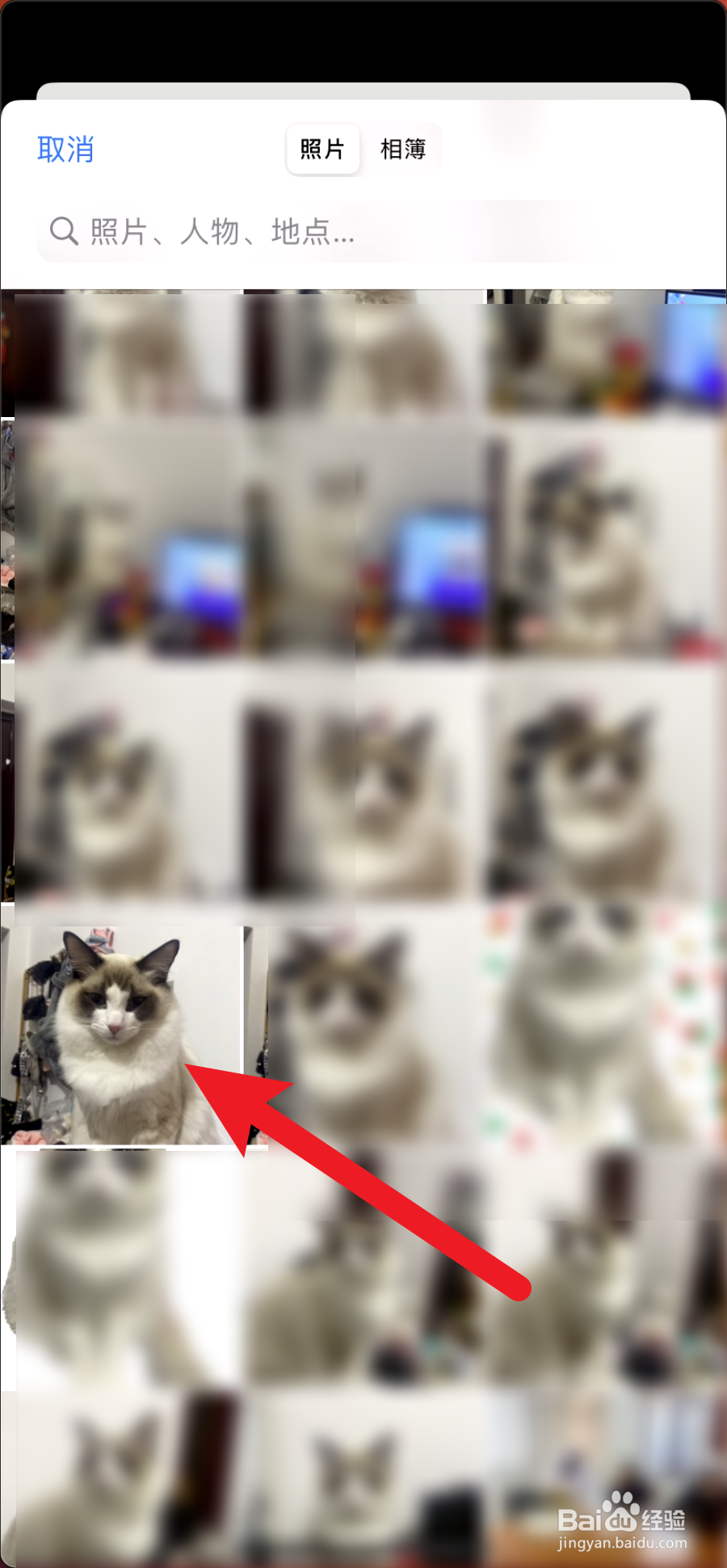 京喜怎么修改头像