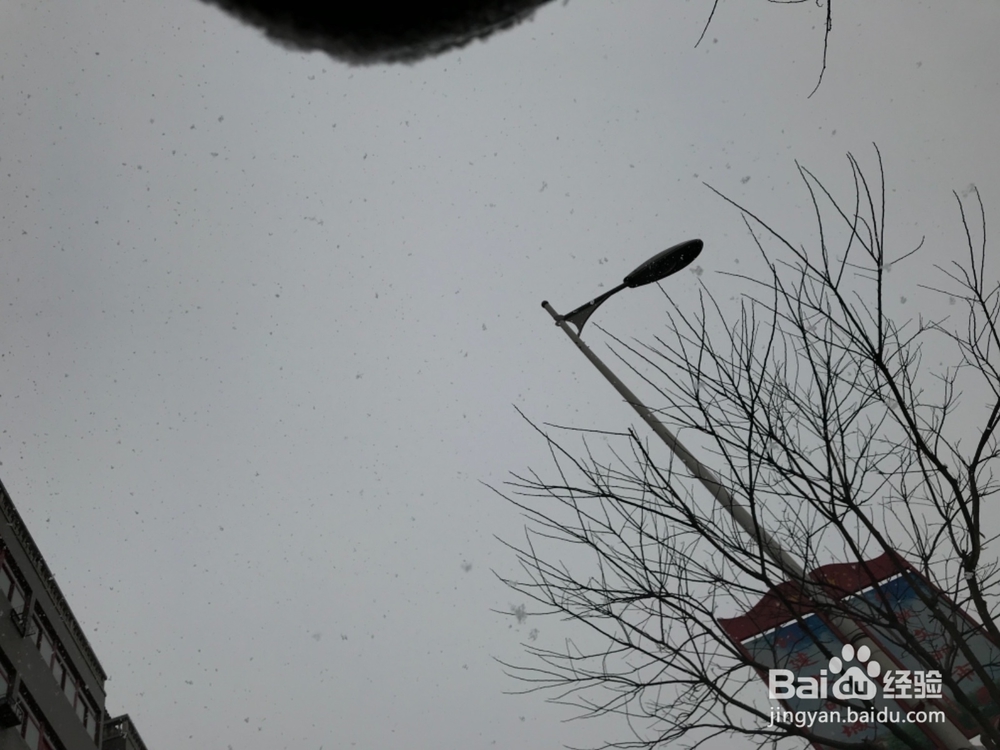 下雪天怎样在街上拍摄