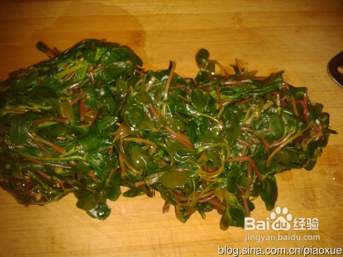马齿苋饺子——家庭野菜系列1