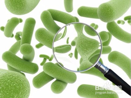 用好儿童益生菌，做个合格的妈妈！