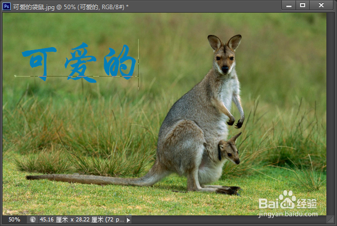 PS中的文字和路径