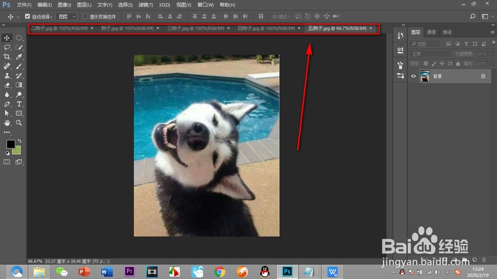 PS的对齐工具如何使用？（上篇）