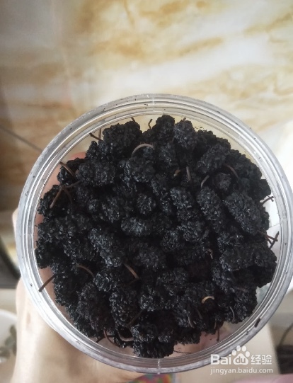 刚摘的桑葚怎么保存