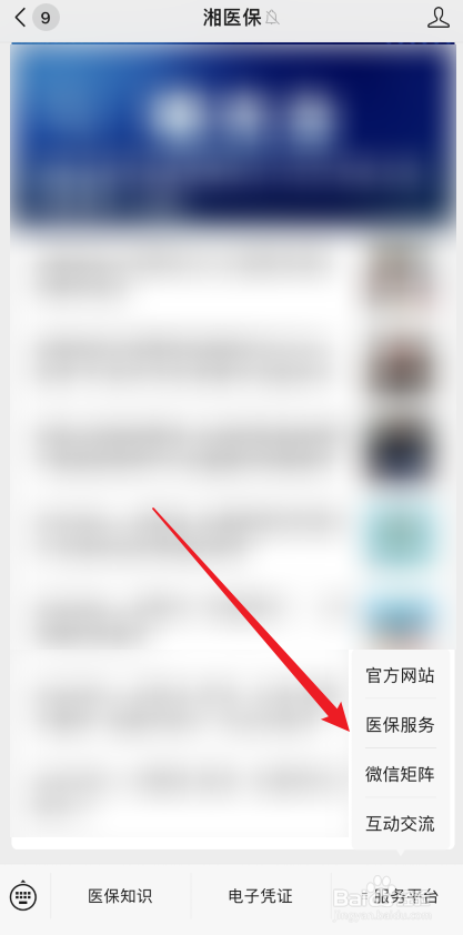 湖南医保参保信息如何查询
