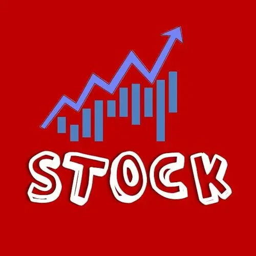 stock有没有保险的意思