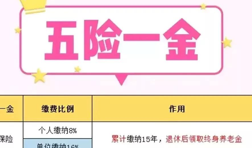 什么运动品牌交五险
