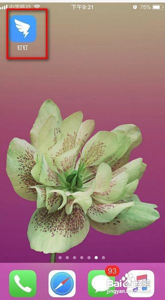 钉钉允许手机号找到我怎么设置