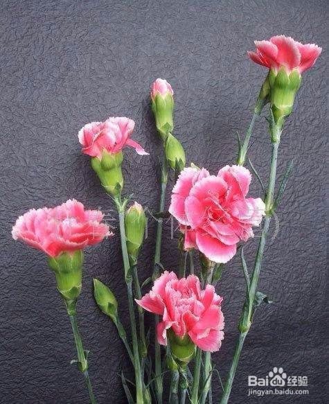 不同的场合应该分别送什么鲜花？