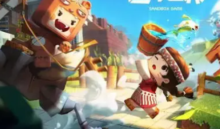 请问一下，迷你世界实名认证会不会透露怎么信息