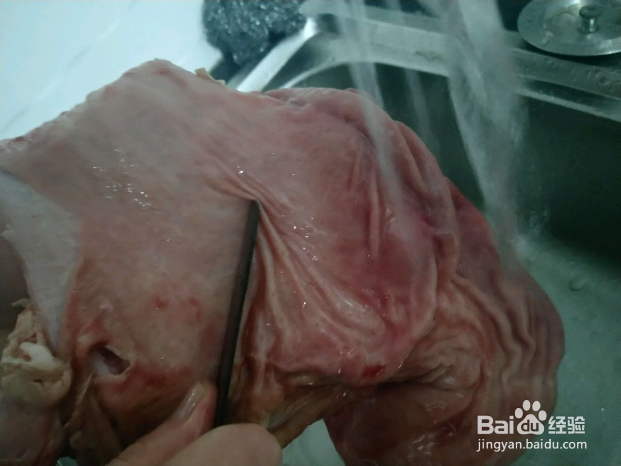 苦藠炖猪肚的做法