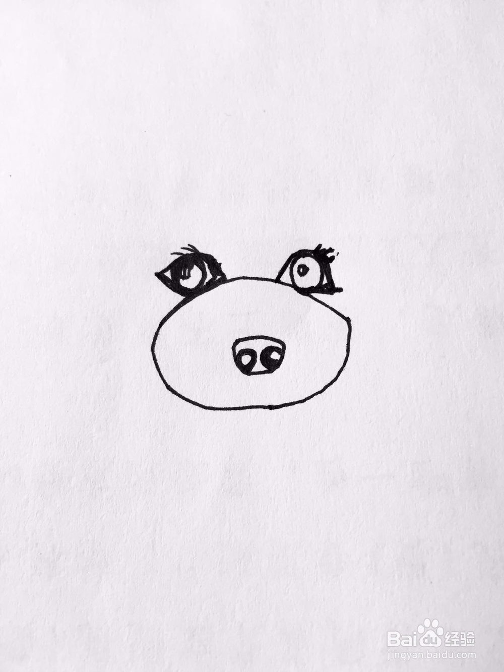 茉莉手绘之萌宠泰迪