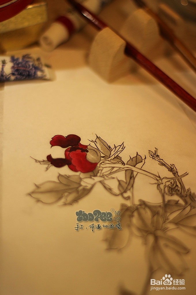 国画工笔花卉技法，起稿上色步骤图以及笔的选择