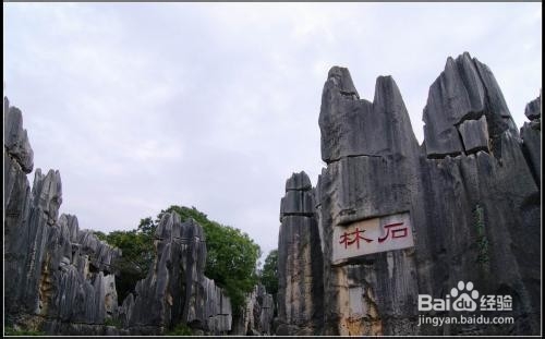 一日时间看昆明