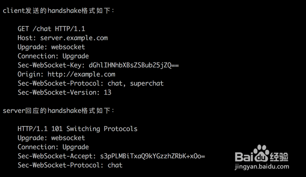 怎样用golang写websocket?