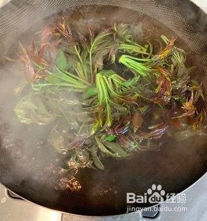 春天的香椿的做法