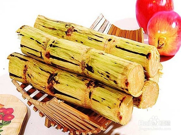 老人的饮食需要注意什么？
