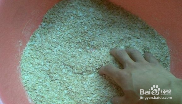 水库钓鲫鱼饵料技巧！水库鱼获18斤！方法很简单