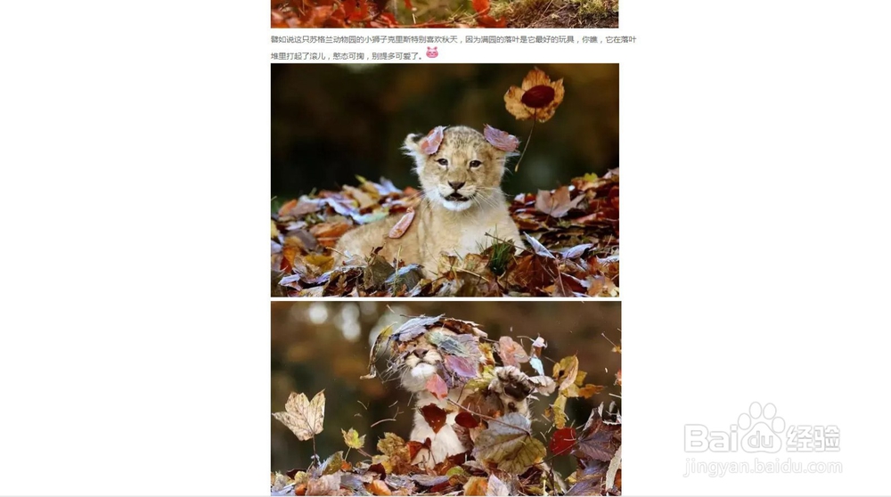 怎样把微信上的文章保存到电脑上