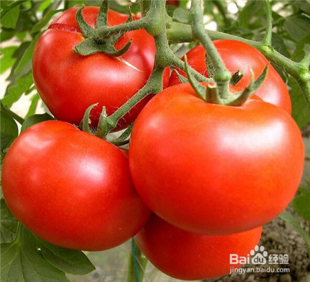 快速补水自制面膜 帮你省钱又好用的补水面膜