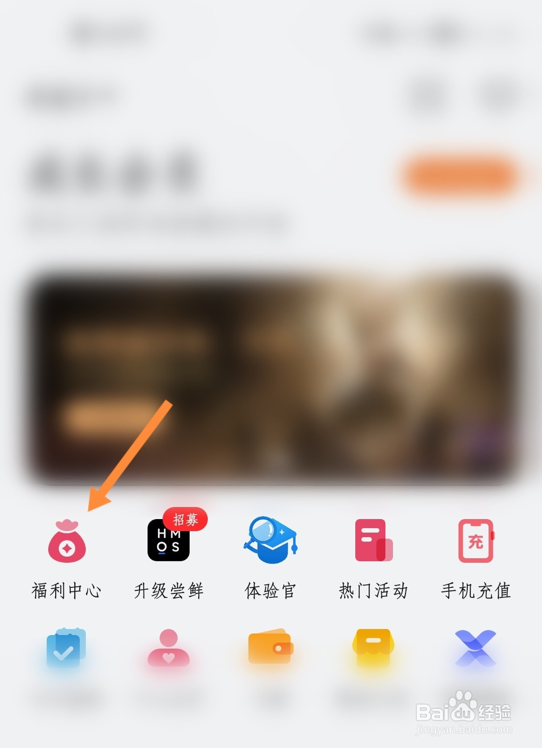 如何订阅Petal One