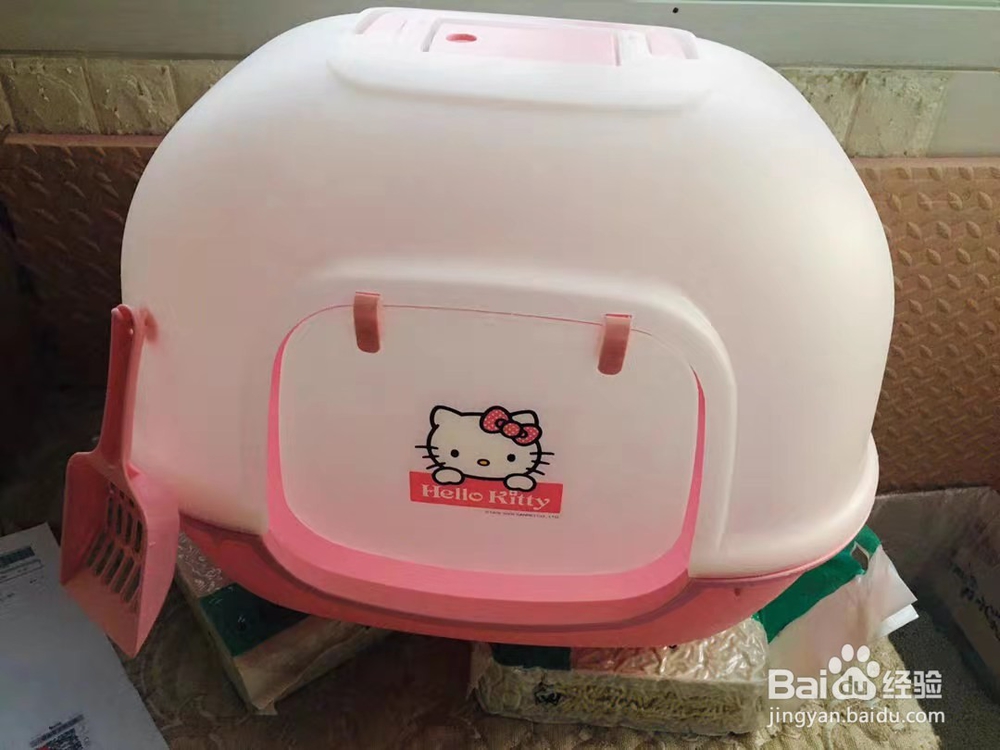 新手养猫需要准备些什么?