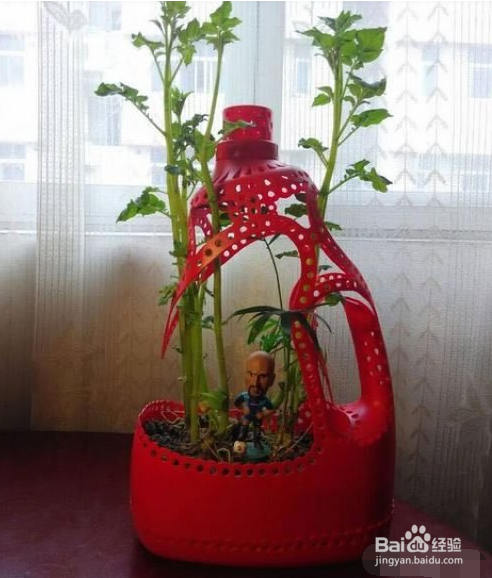 废物利用DIY制作漂亮花盆