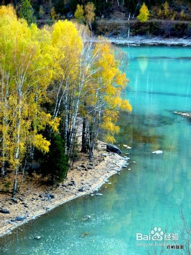 金秋9月新疆喀纳斯风光摄影