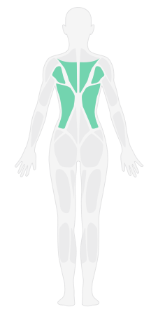 左侧腰背拍打_腰背深度按摩