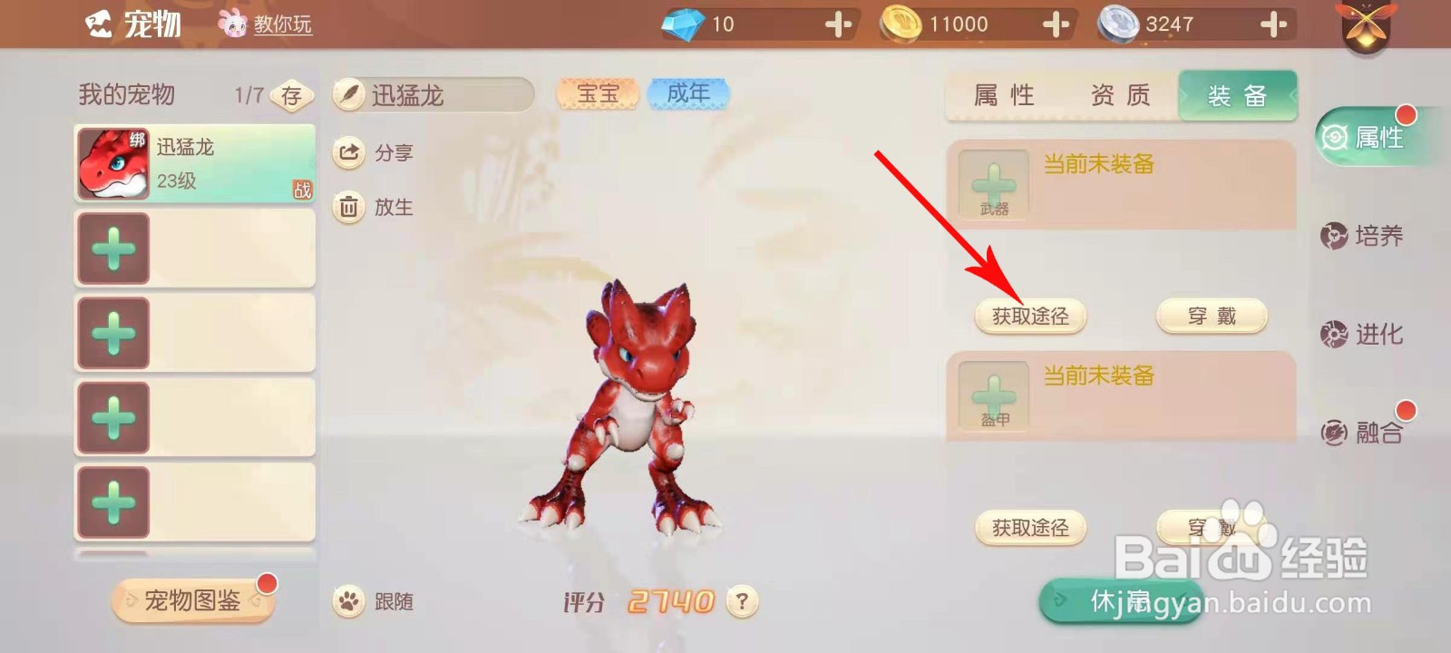 梦想新大陆宠物装备怎么获得