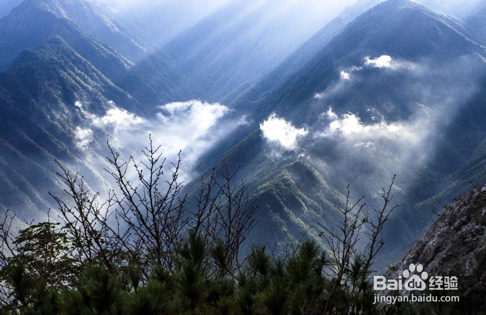 2019年庐山门票需要多少钱