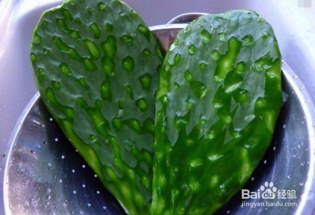 腮腺炎用仙人掌怎么敷