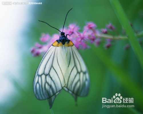 10个故事，提升人生价值！给你的头脑净化一下！