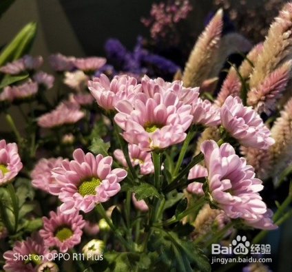 oppor11plus和vivox9splus哪个好