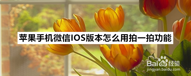 <b>苹果手机微信IOS版本怎么用拍一拍功能</b>