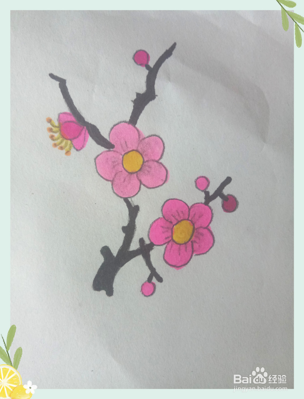 梅花的简笔画怎么画？