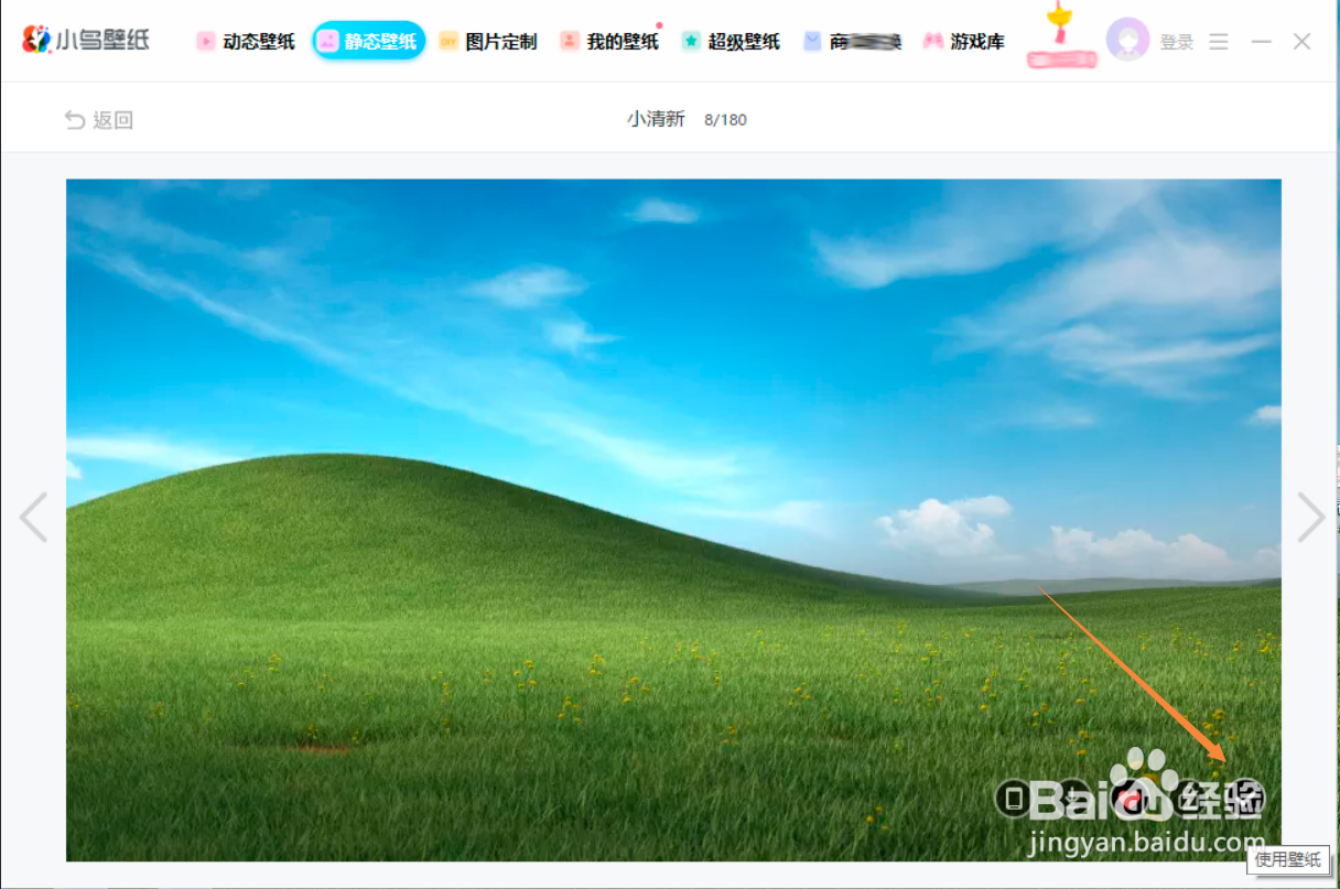 小鸟壁纸中如何选择壁纸?